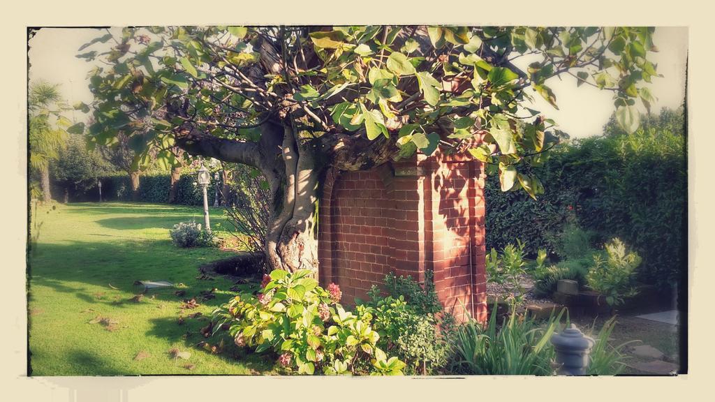 Villagaia Country House Montafia Esterno foto