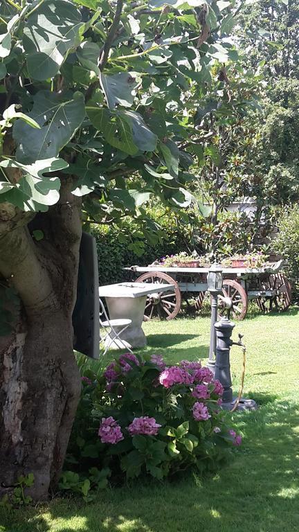 Villagaia Country House Montafia Esterno foto